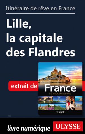 Book cover of Itinéraire de rêve en France Lille, la capitale des Flandres