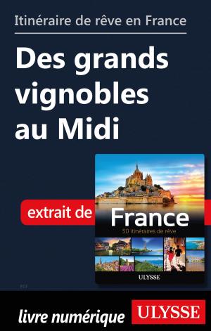 Book cover of Itinéraire de rêve en France - Des grands vignobles au Midi