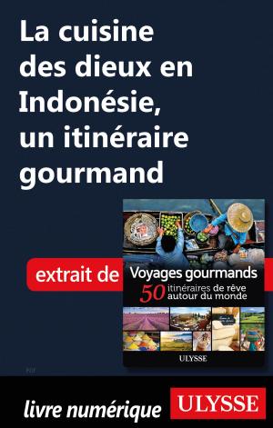 Book cover of La cuisine des dieux en Indonésie, un itinéraire gourmand