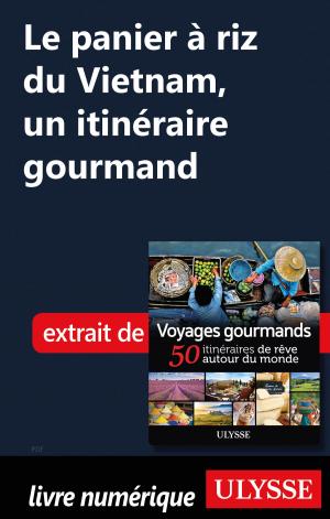 Cover of the book Le panier à riz du Vietnam, un itinéraire gourmand by Michel Aubert, Madeleine Aubert