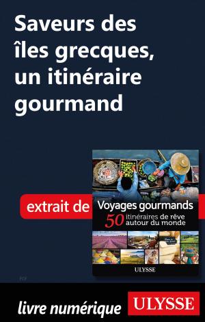 Cover of the book Saveurs des îles grecques, un itinéraire gourmand by Benoit Prieur