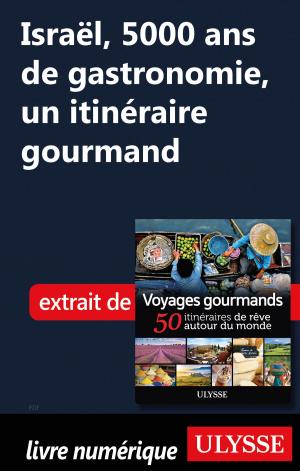 Cover of the book Israël, 5000 ans de gastronomie, un itinéraire gourmand by Alain Legault