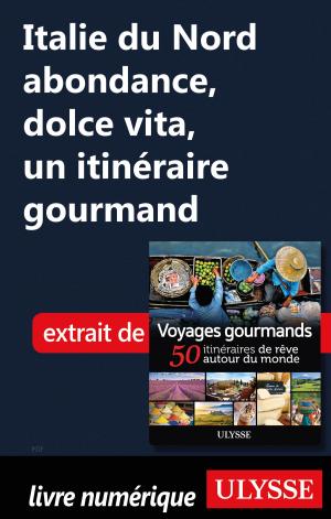 Cover of the book Italie du Nord abondance, dolce vita, un itinéraire gourmand by Yan Rioux