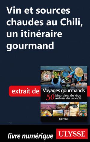 Cover of the book Vin et sources chaudes au Chili, un itinéraire gourmand by Collectif Ulysse