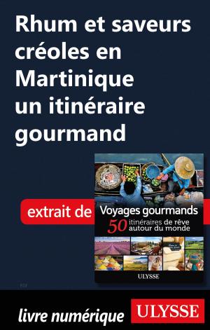 Cover of the book Rhum et saveurs créoles en Martinique un itinéraire gourmand by Julie Brodeur