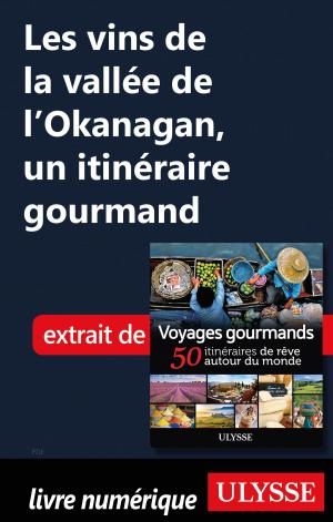 Cover of the book Les vins de la vallée de l'Okanagan, un itinéraire gourmand by Siham Jamaa