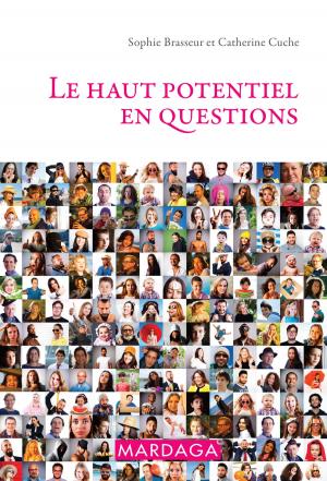 Cover of the book Le haut potentiel en questions by Serge Sultan, Lionel Chudzik