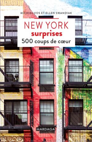 Cover of the book New York surprises by Albert Demaret, Jérôme Englebert, Valérie Follet