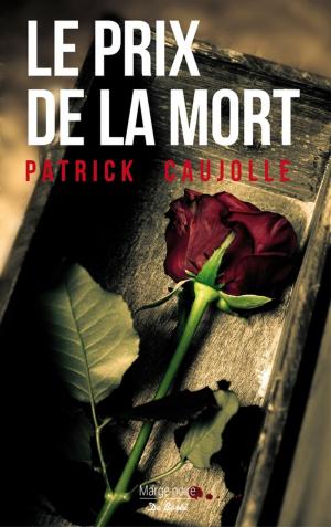 Cover of the book Le prix de la mort by Sylvie Ouellette