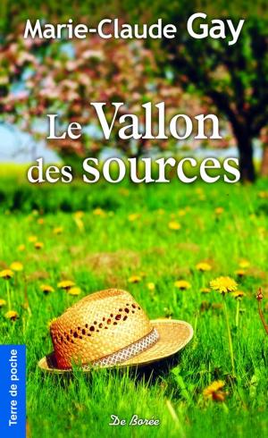 Cover of the book Le Vallon des sources by Christine Navarro