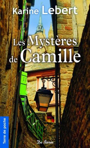 Cover of the book Les Mystères de Camille by Marie de Palet