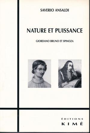 Cover of the book NATURE ET PUISSANCE by GAYON JEAN