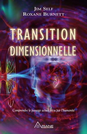 Cover of the book Transition dimensionnelle by James Tyberonn