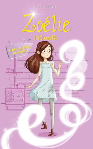 Cover of the book Zoélie l'allumette tome 5: Le casseur de vitres by Simon Boulerice