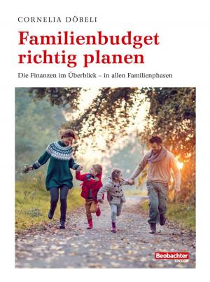 Cover of the book Familienbudget richtig planen by Birrer Mathias