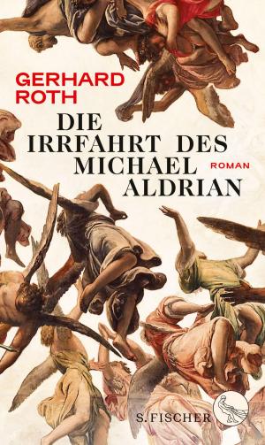 Cover of the book Die Irrfahrt des Michael Aldrian by Robert Gernhardt