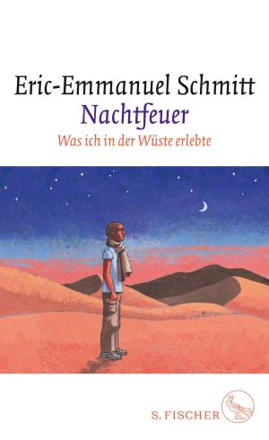 Book cover of Nachtfeuer