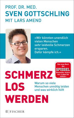 Cover of the book Schmerz Los Werden by Florian Illies