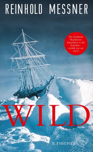 Cover of the book Wild by Peter Stamm