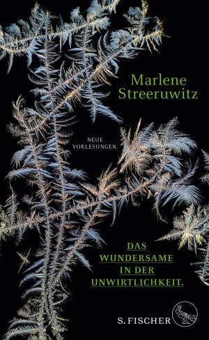 Book cover of Das Wundersame in der Unwirtlichkeit.
