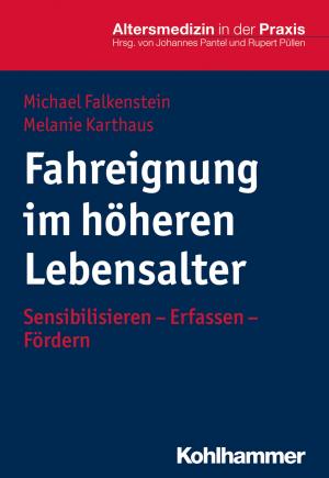 Cover of the book Fahreignung im höheren Lebensalter by Stefan Smid, Rolf Rattunde, Torsten Martini