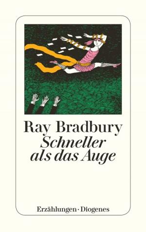 Cover of the book Schneller als das Auge by Lukas Hartmann