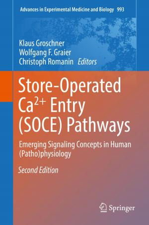 Cover of the book Store-Operated Ca²⁺ Entry (SOCE) Pathways by Lisbeth Fajstrup, Eric Goubault, Samuel Mimram, Martin Raussen, Emmanuel Haucourt