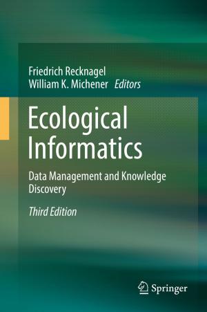Cover of the book Ecological Informatics by Kenneth Kalu