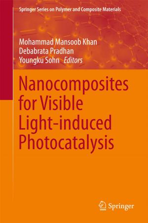 Cover of the book Nanocomposites for Visible Light-induced Photocatalysis by Julia Köritzer