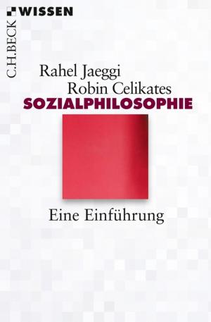 Book cover of Sozialphilosophie