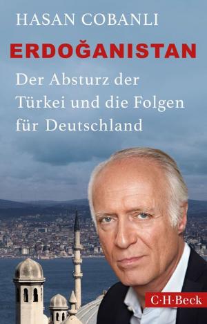 Cover of the book Erdoğanistan by Winston Delano Cabrall, Lynn Cabrall Amos
