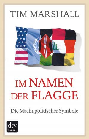 Cover of the book Im Namen der Flagge by Andreas Schlüter