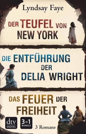 Cover of the book Der Teufel von New York - Die Entführung der Delia Wright - Das Feuer der Freiheit by Cornelia Franz