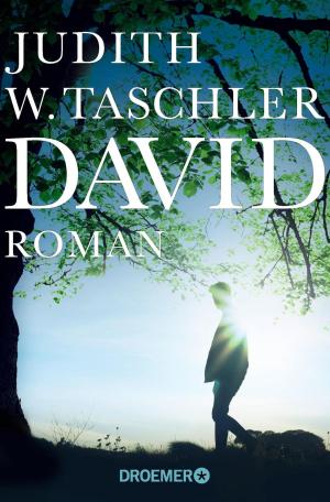 Cover of the book David by Øistein Borge