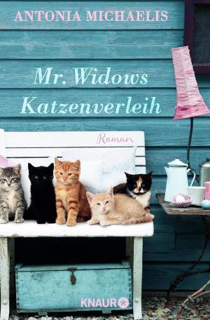 Book cover of Mr. Widows Katzenverleih
