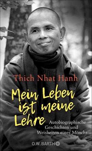 Cover of the book Mein Leben ist meine Lehre by Chögyam Trungpa