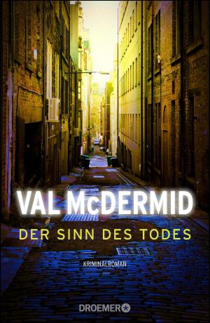 Cover of the book Der Sinn des Todes by Tom Lockington