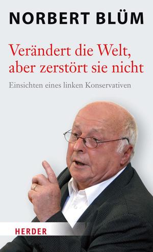 Cover of the book Verändert die Welt, aber zerstört sie nicht by Manfred Lütz, Prof. Arnold Angenendt