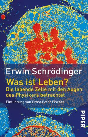 Cover of the book Was ist Leben? by Andreas Brandhorst