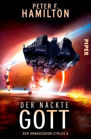 Cover of the book Der nackte Gott by Markus Heitz