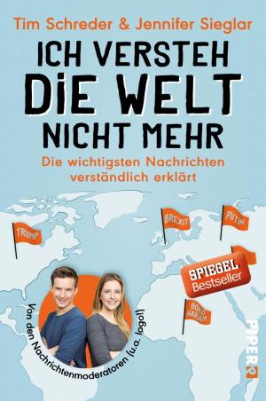 Cover of the book Ich versteh die Welt nicht mehr by Maarten 't Hart