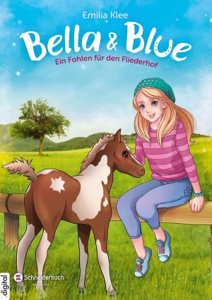 Cover of Bella & Blue, Band 04