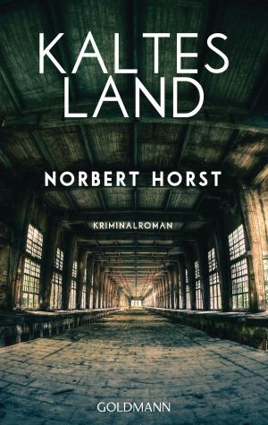 Book cover of Kaltes Land