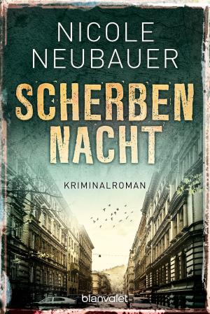 Book cover of Scherbennacht