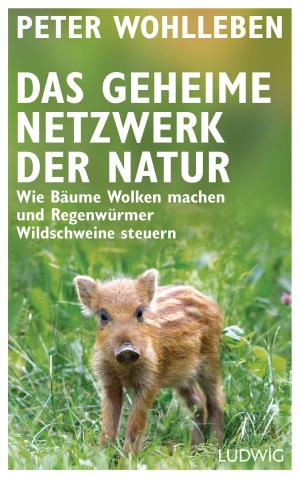 Cover of Das geheime Netzwerk der Natur