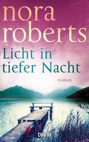 Cover of the book Licht in tiefer Nacht by Brigitte Riebe