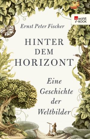 Book cover of Hinter dem Horizont