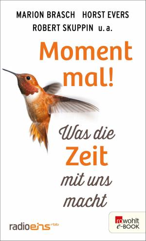 Cover of the book Moment mal! by Florian Huber