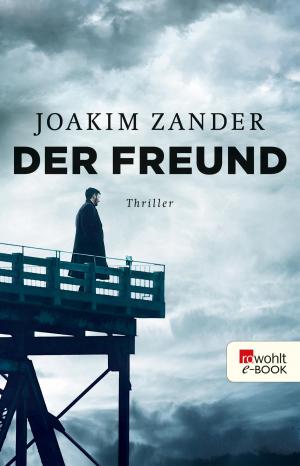 Cover of the book Der Freund by Paul Auster