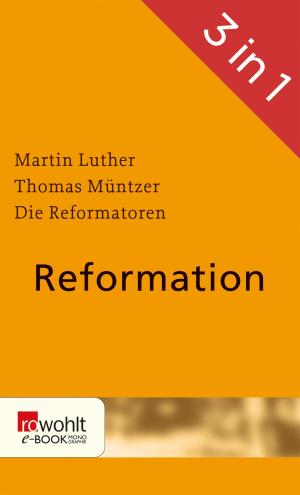 Cover of the book Reformation by Ida Ding